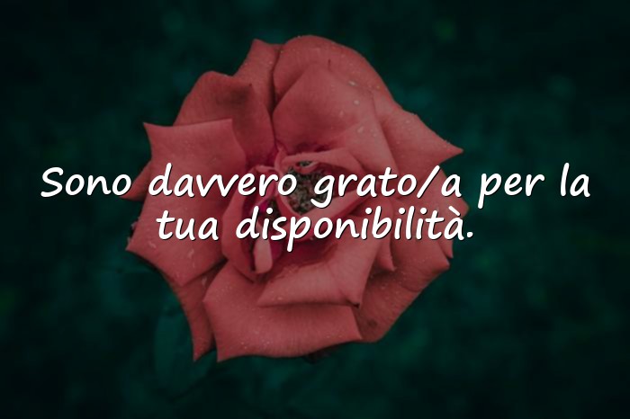 Immagini con frase ringraziamento - 5