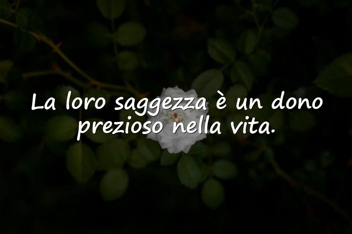 Immagini con frase sui nonni - 6