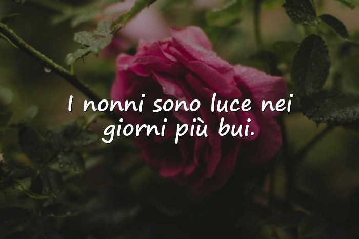 Immagini con frase sui nonni - 1