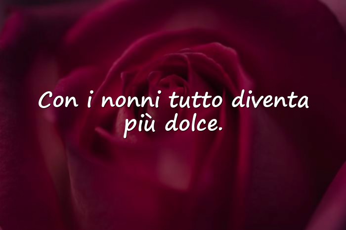 Immagini con frase sui nonni - 21