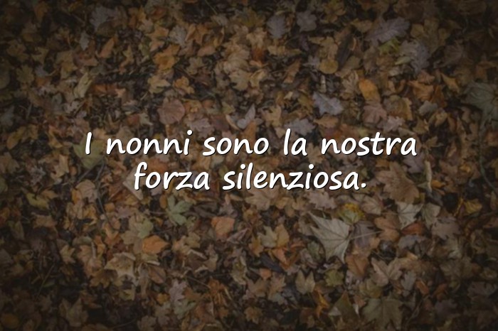 Immagini con frase sui nonni - 16
