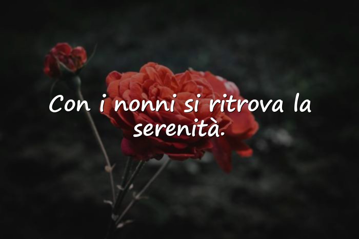 Immagini con frase sui nonni - 11
