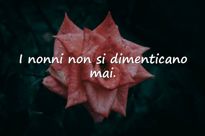 Immagini con frase sui nonni - 1