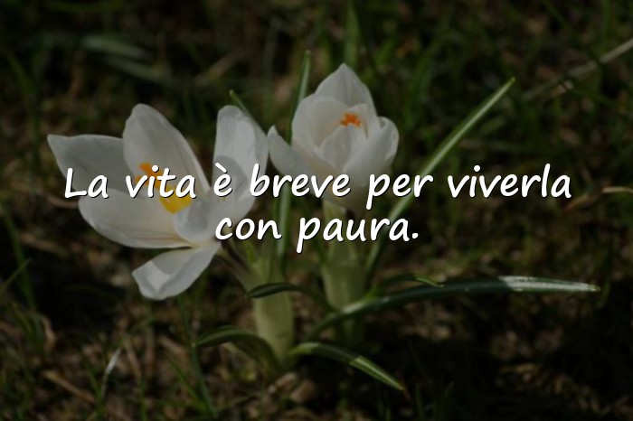 Immagini con frase vita - 22