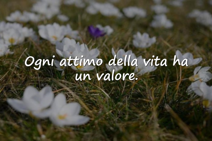 Immagini con frase vita - 19