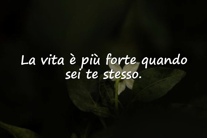 Immagini con frase vita - 12