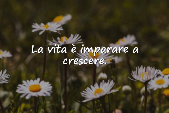 Immagini con frase vita - 4
