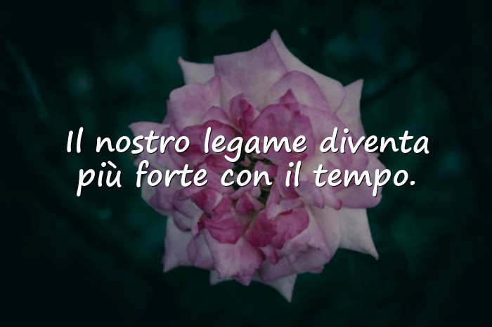 Immagini con frasi anniversario di matrimonio - 10