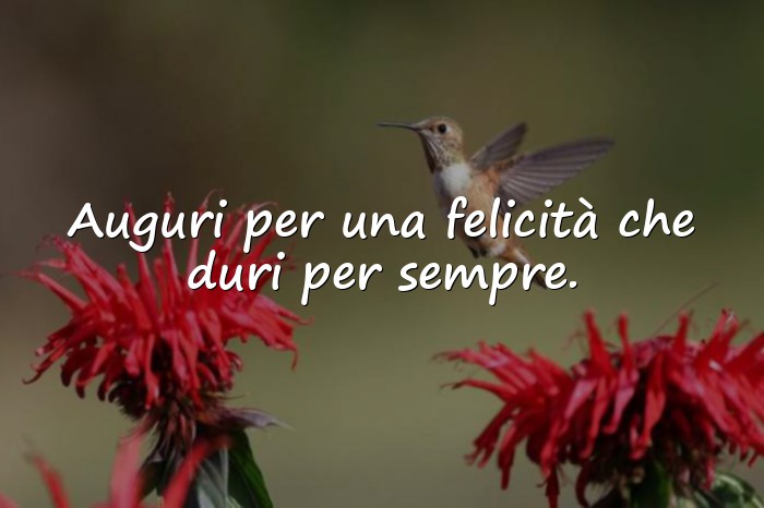 Immagini con Frasi augurali per matrimonio - 1