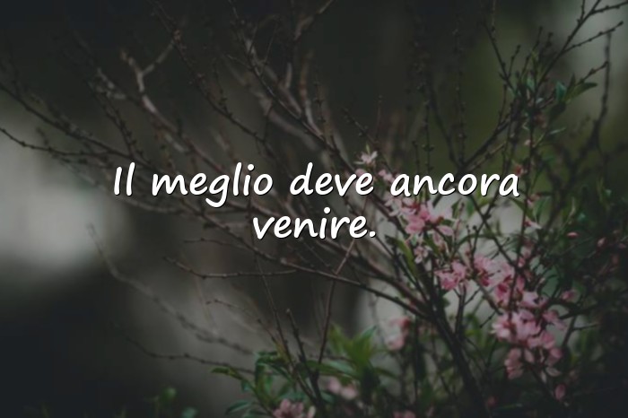 Immagini con frasi auguri laurea - 17