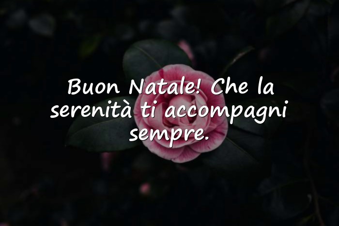 Immagini con frasi auguri natale - 6