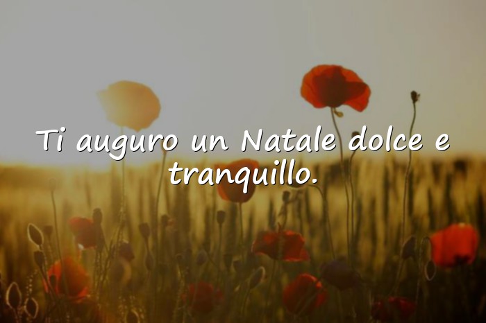 Immagini con frasi auguri natale - 2