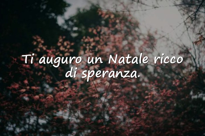 Immagini con frasi auguri natale - 24
