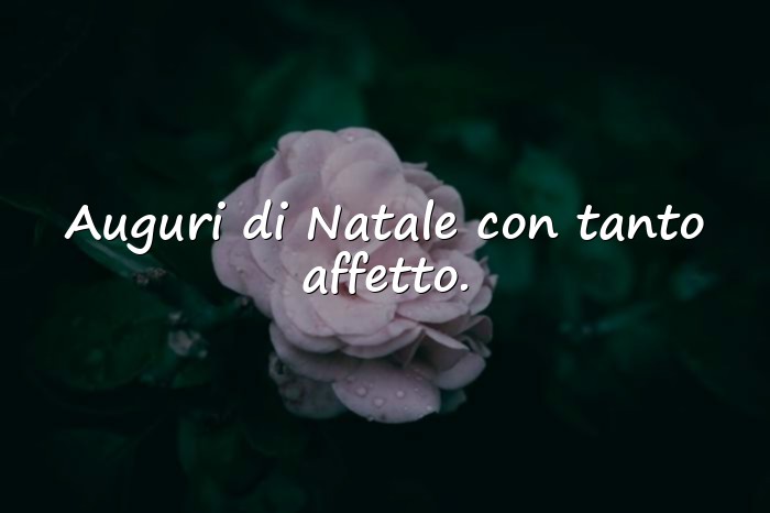 Immagini con frasi auguri natale - 16