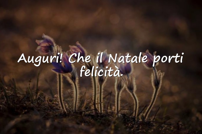 Immagini con frasi auguri natale - 6
