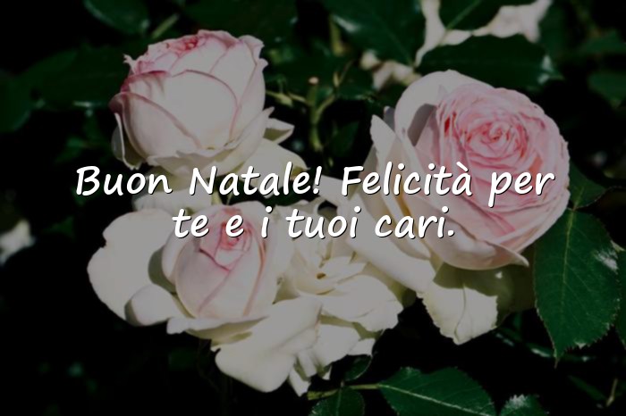Immagini con frasi auguri natale - 1
