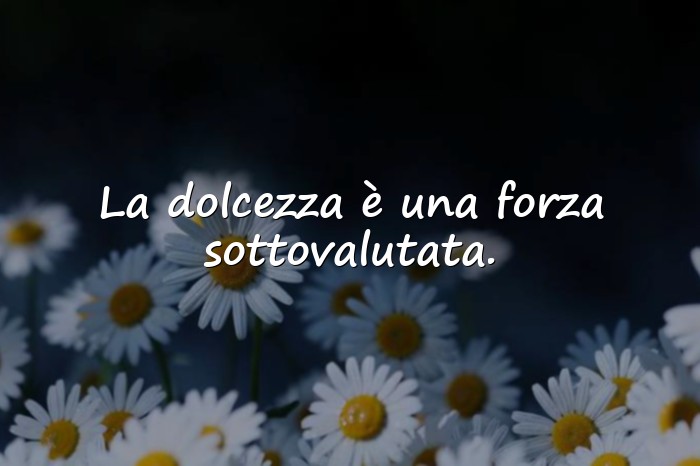 Immagini con frasi belle - 16