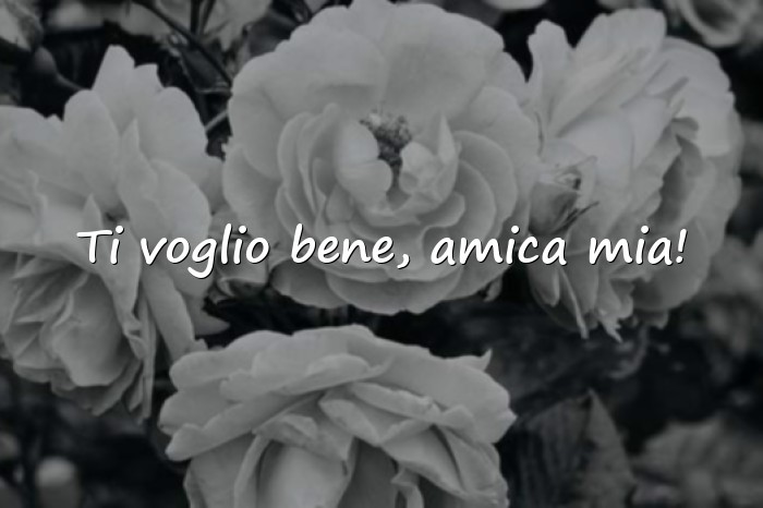 Immagini con frasi compleanno amica - 1