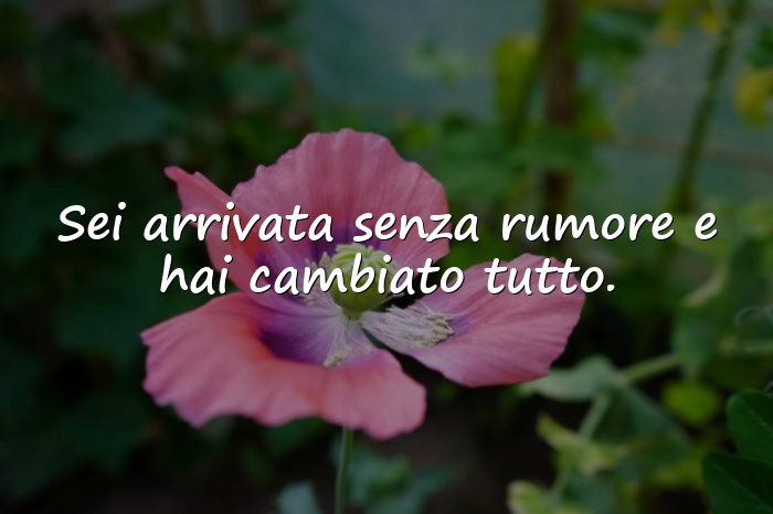 Immagini con frasi d amore per lei - 21