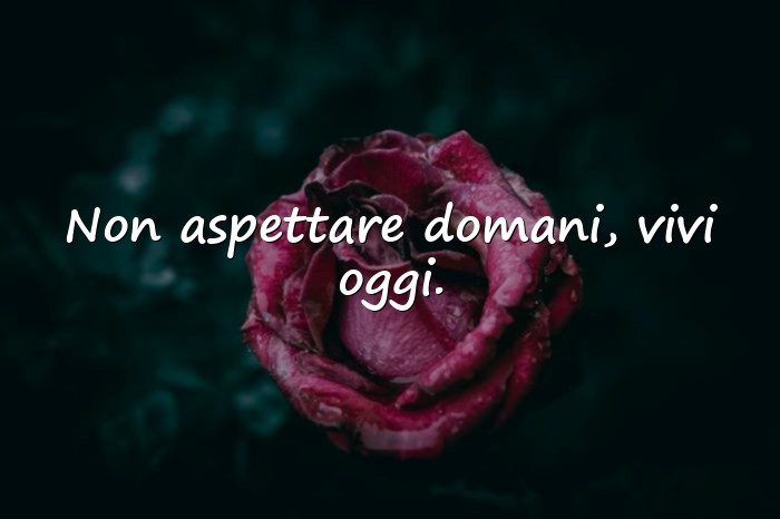 Immagini con frasi del giorno - 9