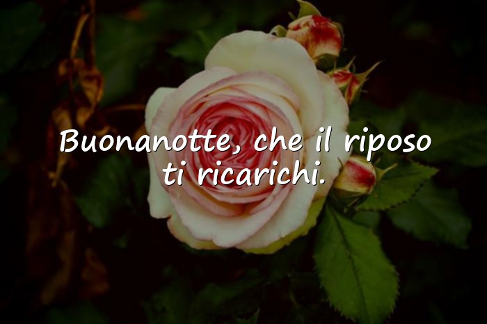 Immagini con frasi della buonanotte - 21