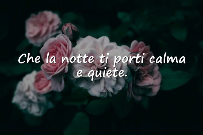 Immagini con frasi della buonanotte - 16