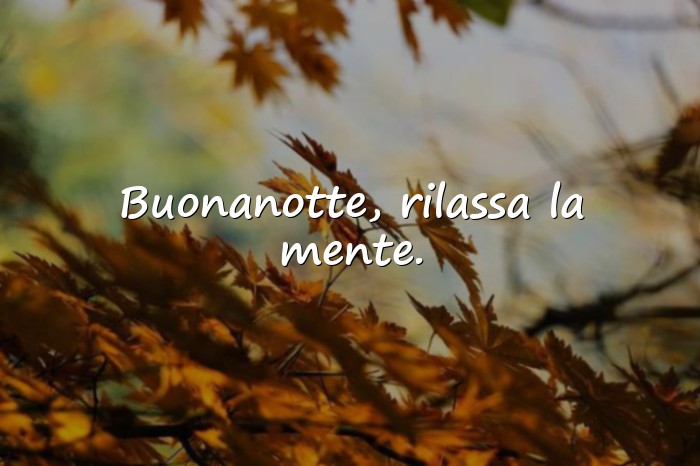 Immagini con frasi della buonanotte - 11