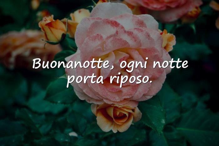 Immagini con frasi della buonanotte - 16