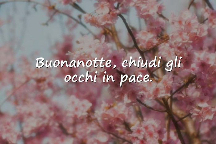 Immagini con frasi della buonanotte - 6