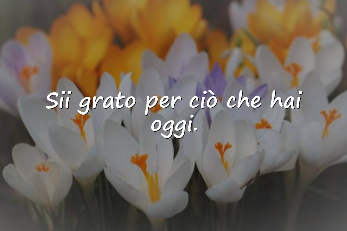 Immagini con frasi della vita - 20