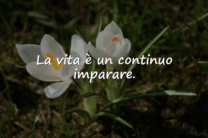 Immagini con frasi della vita - 13