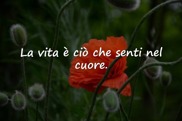 Immagini con frasi della vita - 6