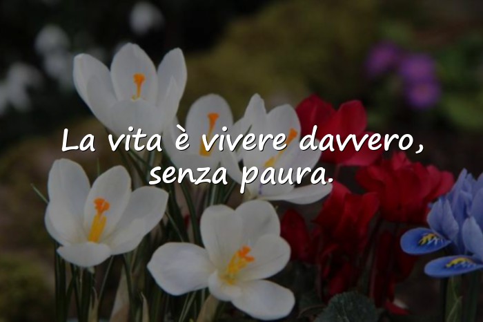Immagini con frasi della vita - 1
