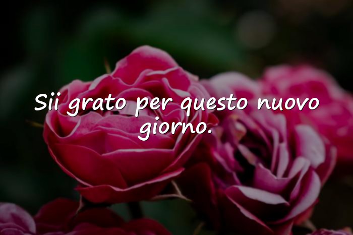 Immagini con frasi di buongiorno - 13