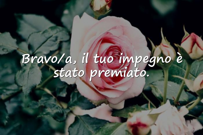 Immagini con frasi laurea - 3