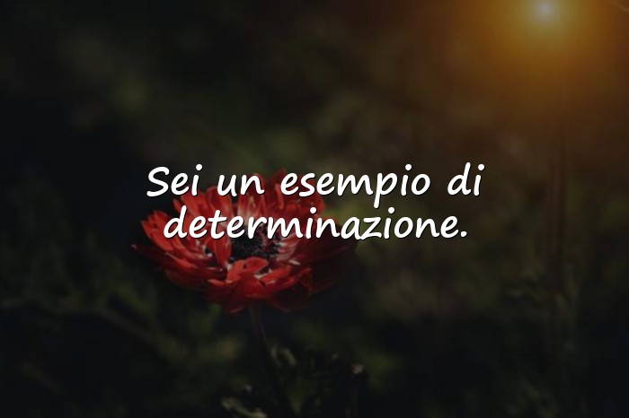 Immagini con frasi laurea - 16