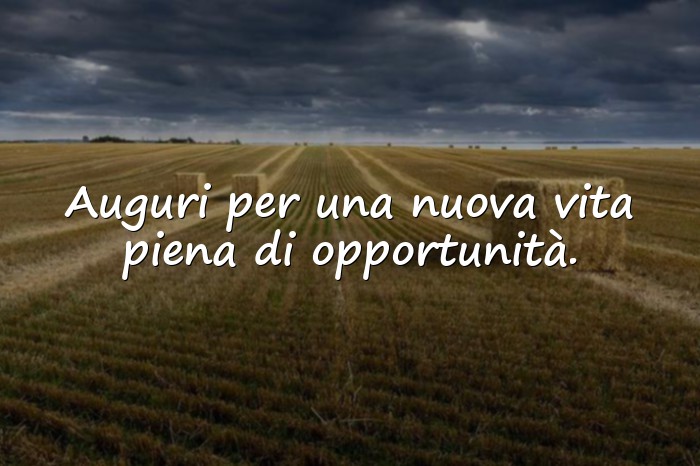 Immagini con frasi laurea - 8