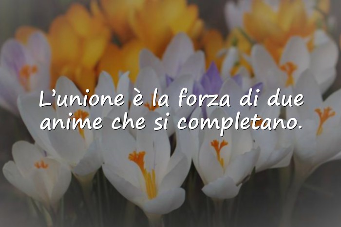 Immagini con frasi matrimonio - 20