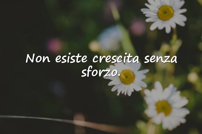 Immagini con frasi motivazionali - 16