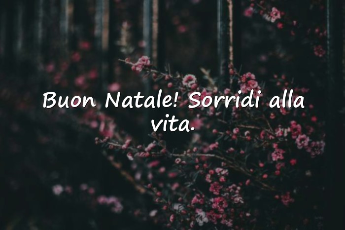 Immagini con frasi natale - 19