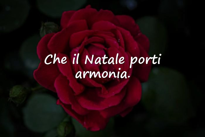 Immagini con frasi natale - 14
