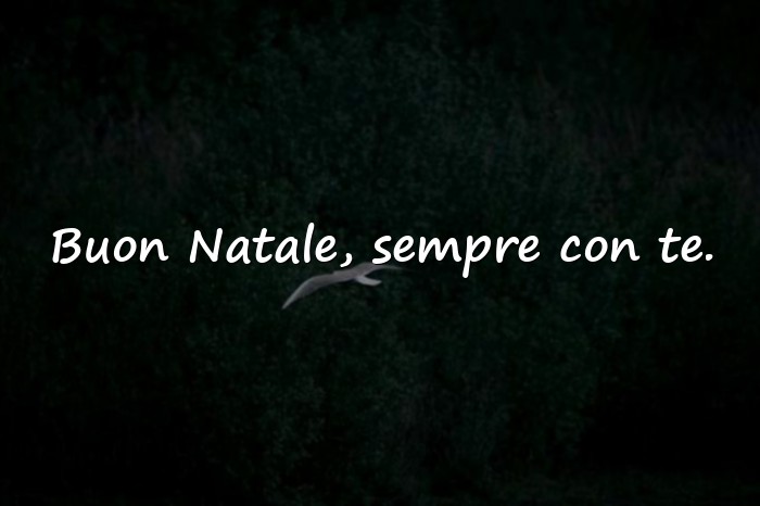 Immagini con frasi natale - 5