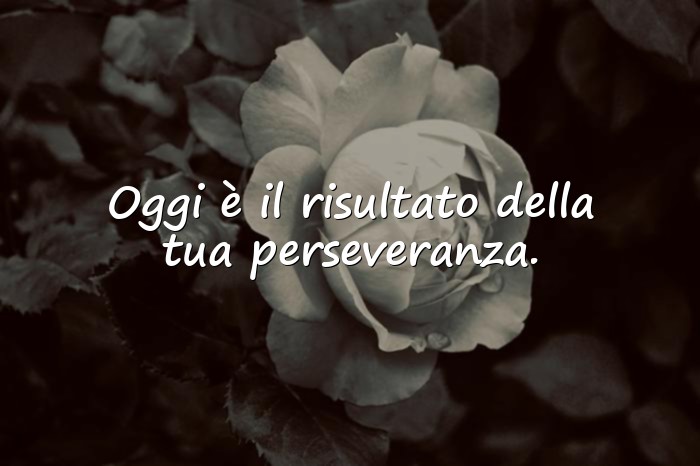 Immagini con frasi per laurea - 5