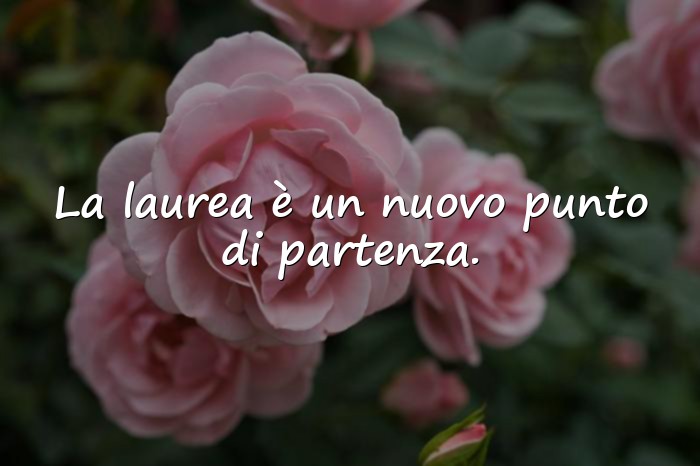 Immagini con frasi per laurea - 2