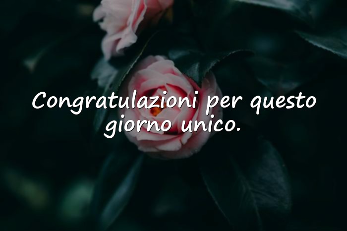 Immagini con frasi per laurea - 13