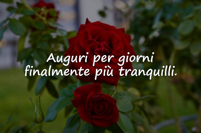 Immagini con frasi per pensionamento - 21