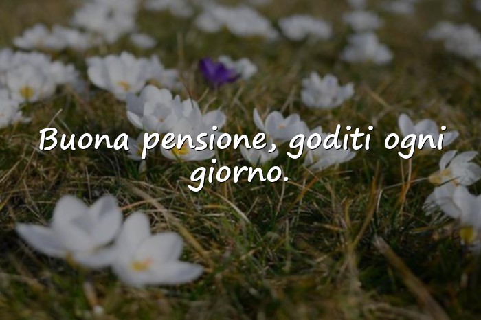 Immagini con frasi per pensionamento - 16