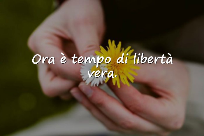 Immagini con frasi per pensionamento - 6
