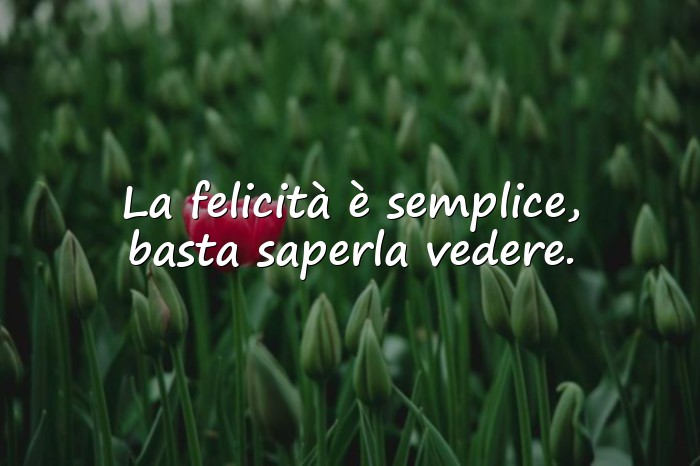 Immagini con frasi sulla felicità - 17