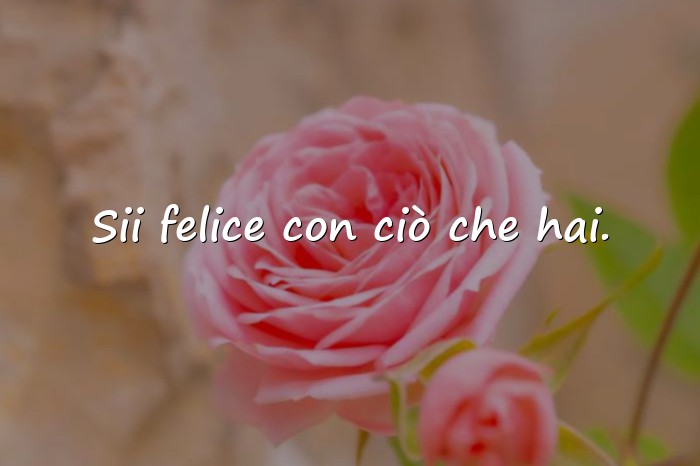 Immagini con frasi sulla felicità - 13